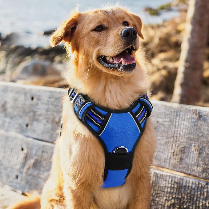 rabbitgoo Dog Harness for Large, No Pull 3 Buckles Easy On & Off | Soft Padded, Walking with Control Handle, Adjustable and Reflective, Royal Blue, X-Large - Image 8