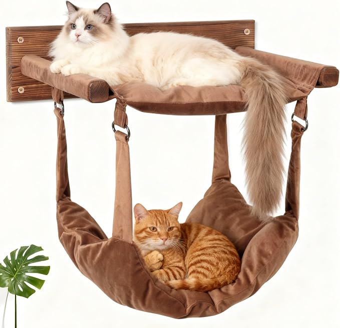 JSPYFITS Wooden Cat Furniture Wall Mounted, Double Layer Hammock, Large Size 18.9″ Removable Multi-Function Cat Bed for Sleep/Play/Climb, Kitten Window Perch, Easy DIY Installation(Brown) by JSPYFITS