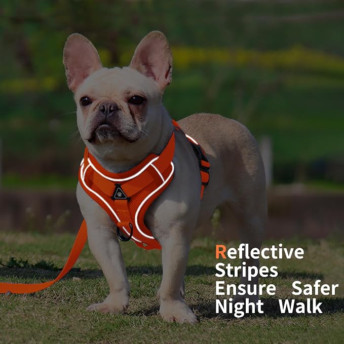 Dog Harness Small Sized Dog Pet Vest with Leash Set Orange M | Adjustable Puppy Vest Harness, No Choke No Pull, Soft Padded, Step-in Dog Vest, Reflective Cat Harness, Breathable Air Mesh - Image 5