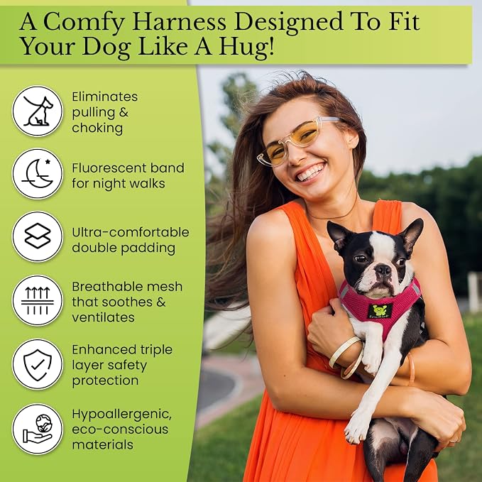 EcoBark Step in Dog Harness - Reflective Soft Luxurious Mesh Dog Harnesses for XXS, XS, Small, and Medium Dogs - Eco-Friendly Comfort Secure Halter No Pull Adjustable Pet Vest (Mint, Small) - Image 4