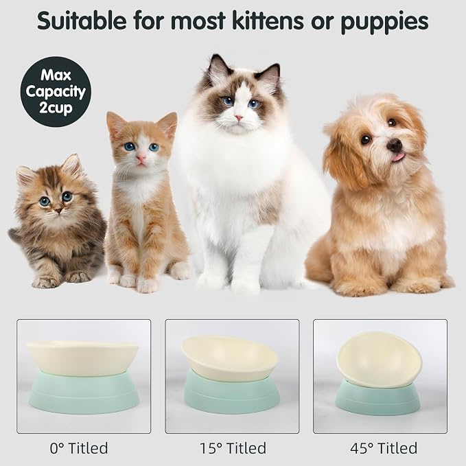 Bulldog Bowl Anti-Slip Dog Cat Dish Detachable Rubber Dog Bowl Pet Sterile Tilted Pet Feeder Slope Base (Green, 2 Cup (Small/Medium Dog)) - Image 3