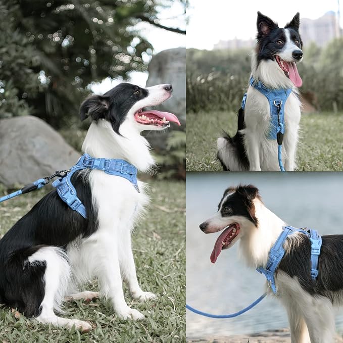 PoyPet Dog Harness and Leash Set, No Pull Vest with Front Clip and Handle | Escape Proof, Reflective, 3 Buckles, 2 D-rings, Adjustable, Soft Padded, 5 Feet Leash, for Walking Training, Light Blue, L - Image 4