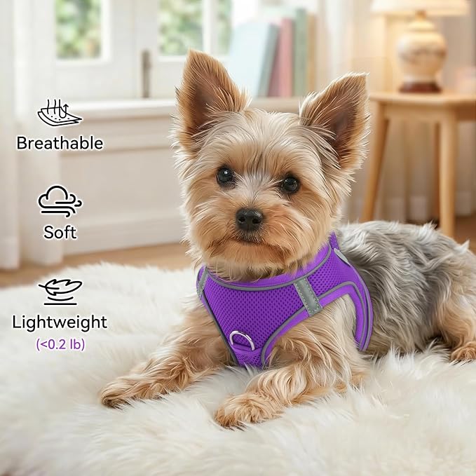 Joytale Step-in Dog Harness, Soft Breathable Mesh, Purple M | Adjustable Fit for Small Dogs, Easy Step-in with Secure Fastener, Even Chest Pressure, Reflective For Night Safety, Washable - Image 4