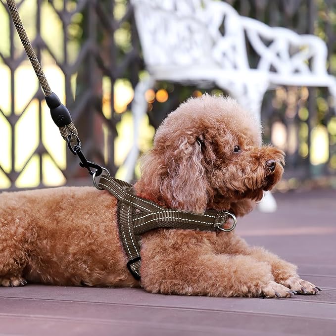 Plutus Pet No Pull Dog Harness for Medium Sized Dog, Breathable Mesh Padded | Adjustable Reflective with Handle, Escape Proof, Quick Fit Pet Vest, Front Clip, for Training and Walking, Chocolate, M - Image 6