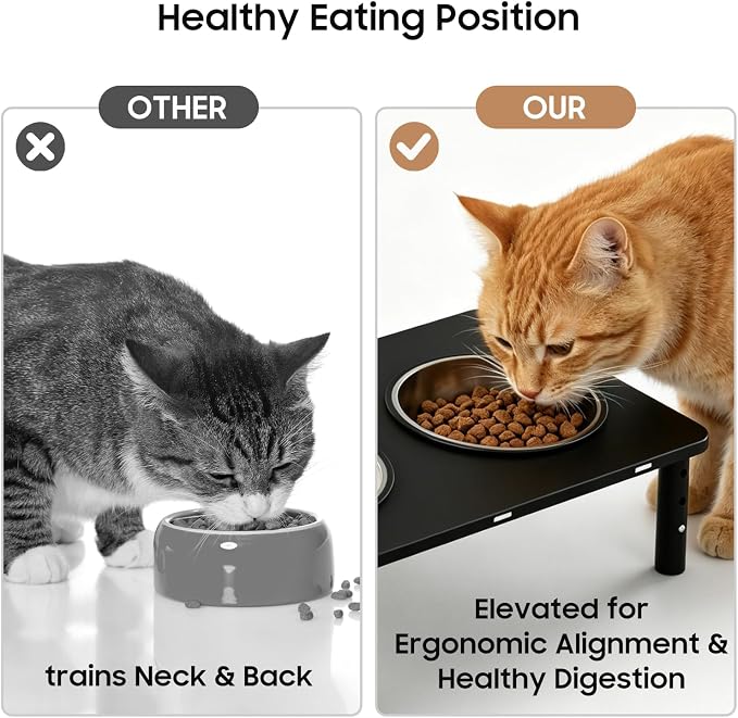 Adjustable Elevated Cat Bowls,6°/12° Tilted Cat Bowl Stand Anti-Vomiting | 3 Heights,Raised Cat Food and Water Bowl Set with Metal Stand,2 Stainless Steel Bowls for Cats and Puppy - Image 2