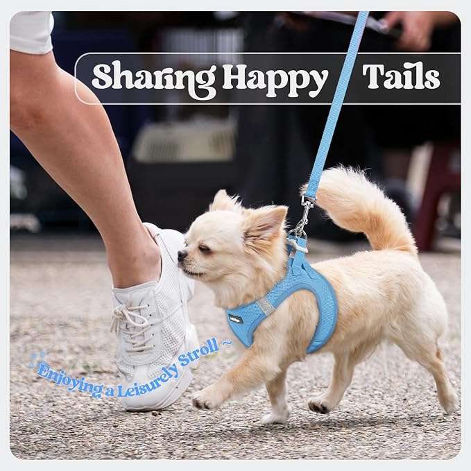 rabbitgoo Dog Harness Small Sized and Leash Set, Step-in Puppy Pet Vest | Light, Soft, Breathable Air Mesh, Easy on and Remove with Hook & Loop, Secure Reflective for Walking, Blue S - Image 9