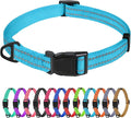 TagME Small Dog Collar, Reflective Puppy Collar, Sky Blue, 5/8" Width | Lightweight, Nylon Collar for Puppies and Small Dogs, Adjustable Length, 12 Color Choices, Reflective for Evening Walks by TagME