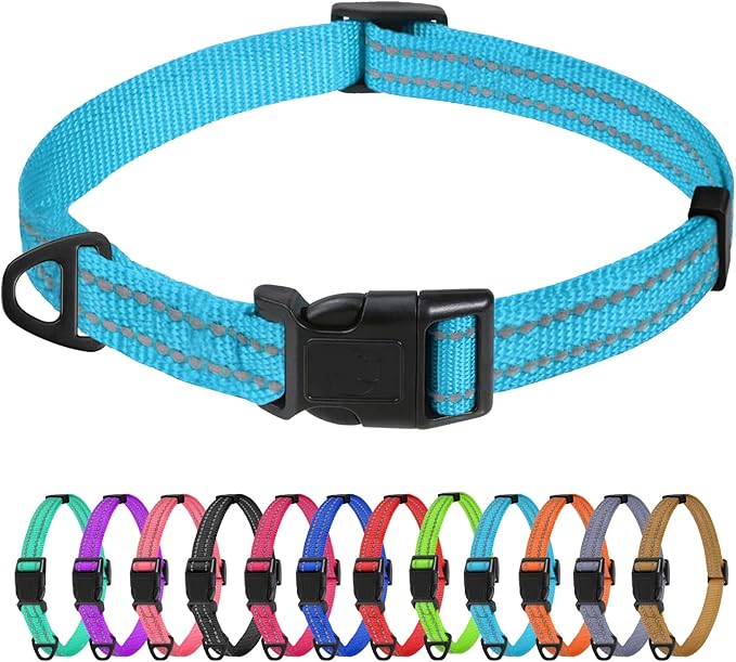 TagME Small Dog Collar, Reflective Puppy Collar, Sky Blue, 5/8" Width | Lightweight, Nylon Collar for Puppies and Small Dogs, Adjustable Length, 12 Color Choices, Reflective for Evening Walks by TagME