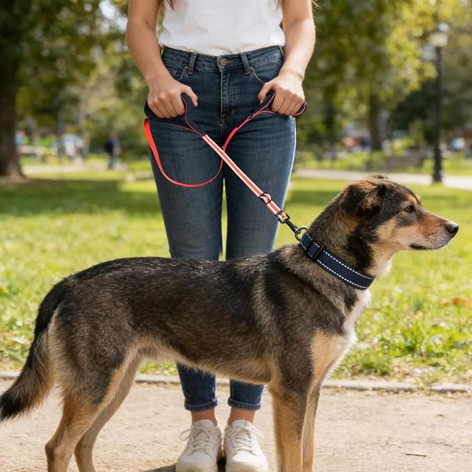 Reflective Double Handle Dog Leash for Large Medium Small Dogs (VW, L) | Heavy Duty, Adjustable with Soft Padded Handles, Traffic Control for Training, Walking, Running - Image 6