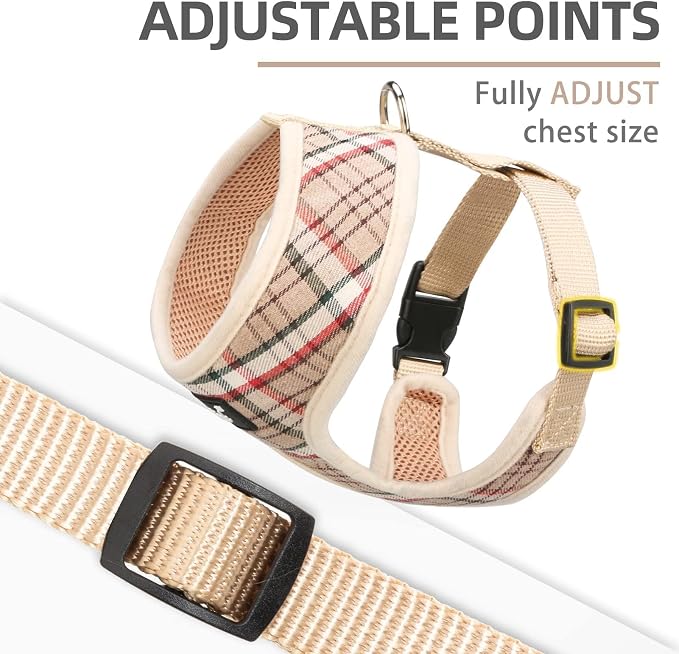 PUPTECK Small Dog Harness and Leash Set No Pull for XS XXS Sized Dogs Puppy | Escape Proof No Choke Pet Cat Adjustable Soft Padded Walking Vest - Image 3