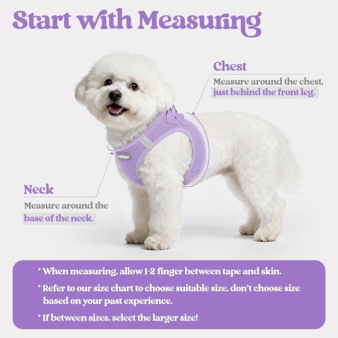 rabbitgoo Dog Harness Medium Sized and Leash Set, Step-in Puppy Pet Vest | Light, Soft, Breathable Air Mesh, Easy on and Remove with Hook & Loop, Secure Reflective for Walking, Light Purple XXL - Image 2