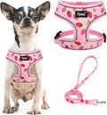 PUPTECK Small Dog Harness and Leash Set No Pull for XS XXS Sized Dogs Puppy | Escape Proof No Choke Pet Cat Adjustable Soft Padded Walking Vest by PUPTECK