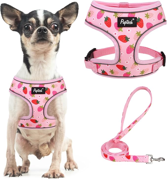 PUPTECK Small Dog Harness and Leash Set No Pull for XS XXS Sized Dogs Puppy | Escape Proof No Choke Pet Cat Adjustable Soft Padded Walking Vest by PUPTECK