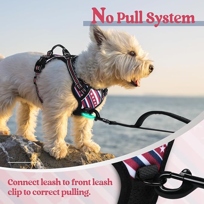 rabbitgoo Dog Harness, No Pull for Small Dogs with 2 Leash Clips, Pet Vest | No Choke with Handle, Adjustable Soft Padded, Reflective, Easy Control for Walking, Red Stripe, X-Small - Image 5