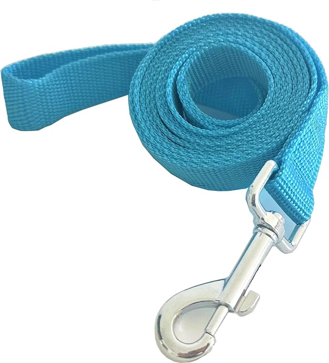 Nylon Dog Training Leash, Traction Rope, 4Ft /5 Foot /6 Feet Long, 5/8 inch 3/4 Inch 1 Inch Wide, for Small and Medium Dogs by TAIDA