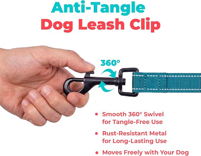 Best Pet Supplies Voyager Nylon Dog Leash - Turquoise, Medium | 5ft in Length, 3/4" in Width, Reflective, Soft Neoprene Handle, Heavy Duty Metal Clips for Running, Walking & Training - Image 7