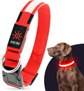 Illumifun LED Dog Collar, USB Rechargeable Light Up Dog Collars, Flashing Safety Dog Collar Glow in the Dark (Red, Medium) by Illumifun
