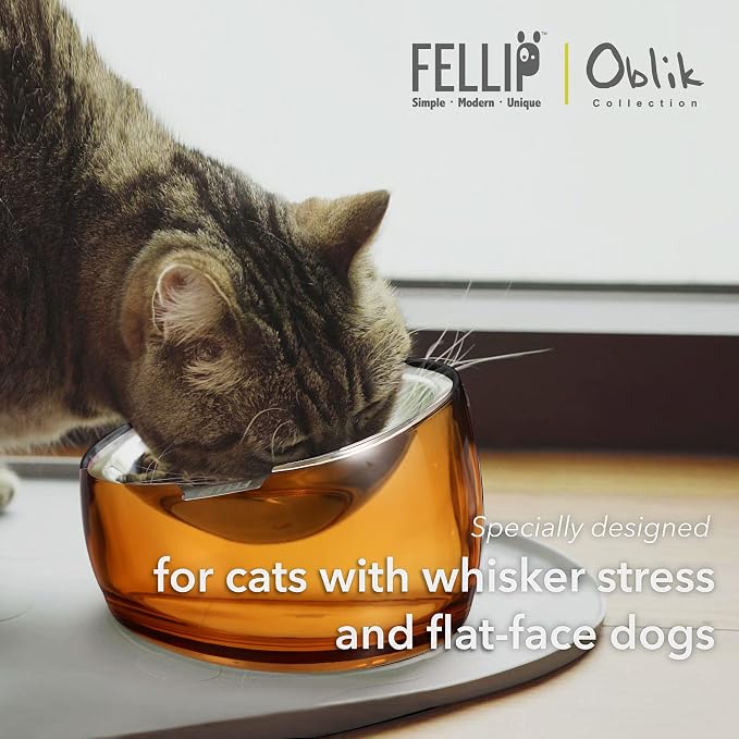 Felli Pet Oblik Whisker Fatigue Cat Food Bowl Raised Stainless Steel Shallow Dish, Pet Design Anti Vomit Tilted Metal Plate Feeder Elevated Acrylic Base for Treats Storage(Gold, 0.5 Cups Shallow Dish) - Image 3