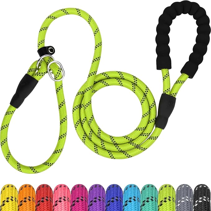 TagME Slip Lead for Dogs, No Pull Training Leash, Padded Handle (Green) | Braided Climbing Rope, Reflective Stitching, 6 Ft, Fits Small to Large Dogs Up to 250 lbs, Cushioned Grip, No Leash Burn by TagME
