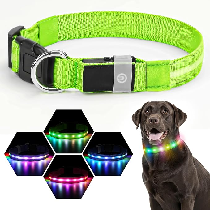 LED Dog Collar, RGB Light Up Dog Collar USB Rechargeable 6 Modes | Waterproof Light Up Dog Collar with Soft Nylon Comfort, Adjustable Fit for Small Medium Large Dogs Neon Green M - Image 2