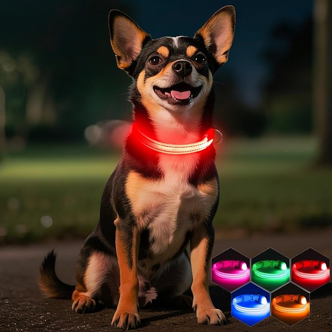 Light Up Dog Collar for Small Dogs, LED Dog Collar Rechargeable Safety Dog Lights, Fully Adjustable Glow in The Dark Puppy Collars for Night Walking & Camping (X-Small, Red) - Image 8