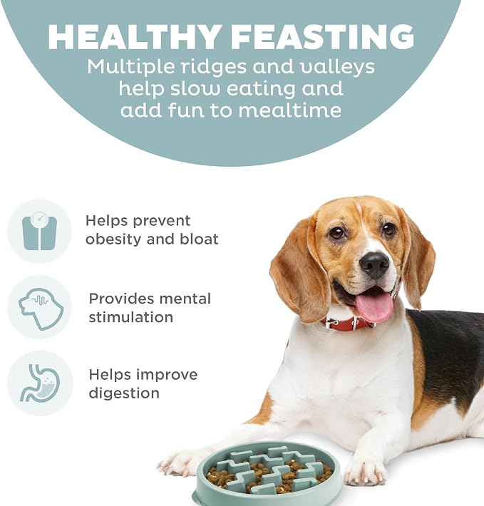 Outward Hound Fun Feeder Slo Bowl Dog Slow Feeder, Notch, Sage, 9.1" | Slows Fast Eaters, Can Aid Digestion, Holds 2 Cups Dry or Wet Food, Non-Slip Base, Easy Clean, No BPA, Small to Medium Dogs - Image 2