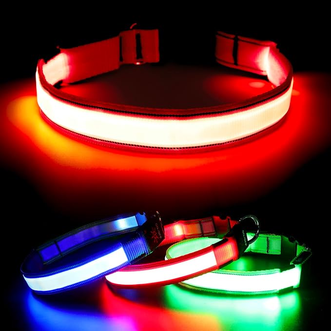 Visinite LED Dog Collar USB Rechargeable, Reflective Light Up Pet Collar for Night Walking, Adjustable Glow Collar for Small Medium Large Dogs(Red, M) by Visinite