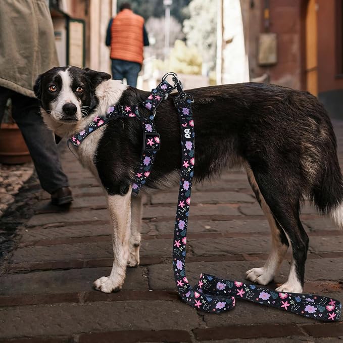 Dog Harness Leash Set Adjustable Heavy Duty No Pull Halter Harnesses for Small Medium Large Breed Dogs Back Clip Anti-Twist Perfect for Walking - Image 6
