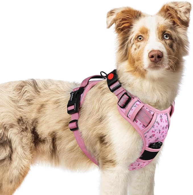 rabbitgoo Dog Harness Medium Sized, Updated Easy On & Off with 3 Buckles | No Pull No Choke, Walking with 2 Clips and Handle, Adjustable Soft Reflective, Floral Pink, Medium by rabbitgoo