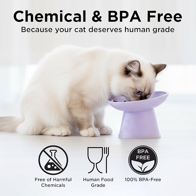 Necoichi BPA-Free Elevated Cat Food Bowls, 15° Tilted, 2-Pack (Lilac Ice) - Image 5