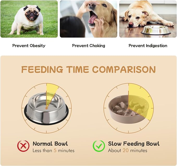 Havniva Elevated Slow Feeder Dog Bowls, Ceramic Dog Bowl Slow Feeder Set | 0.9 Cups Raised Slow Feeder Dog Bowl for Small Breed, 6.1” Dog Water Bowl with Wooden Stand, Puzzle Dog Food Bowl, Non-slip - Image 5