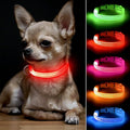 LED Dog Collar - Rechargeable Light Up Dog Collar for Small Dogs& Cats, Reflective Adjustable Puppy Collar Safety Dog Lights for Night Walking (Red, XS) by BSEEN