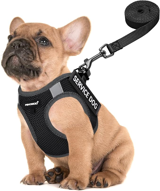 FAYOGOO Service Dog Vest for Small Breed - Lightweight Dog Harness with 6PCS Removable Patches - Puppy Harness and Leash Set for Walking,Training | Lightweight step-in vest with leash and removable identification patches; measure neck and chest before ... by FAYOGOO