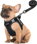 FAYOGOO Service Dog Vest for Small Breed - Lightweight Dog Harness with 6PCS Removable Patches - Puppy Harness and Leash Set for Walking,Training | Lightweight step-in vest with leash and removable identification patches; measure neck and chest before ... by FAYOGOO