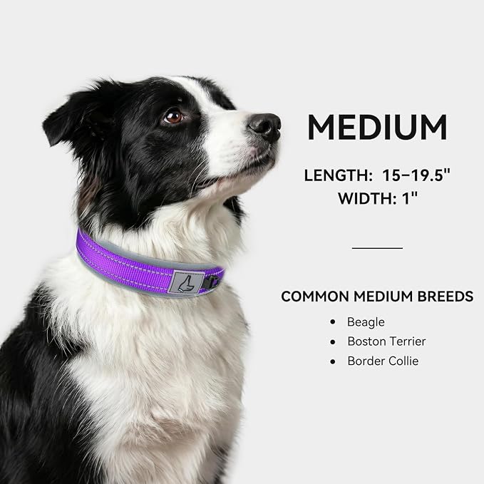 Joytale Reflective Dog Collar for Medium Dogs with Wide Padding, Purple | Soft Cushion Reduce Neck Strain, Night Safety Walking, Metal Buckle and Adjustable Eyelets, Separated Dog ID Tag Ring - Image 5