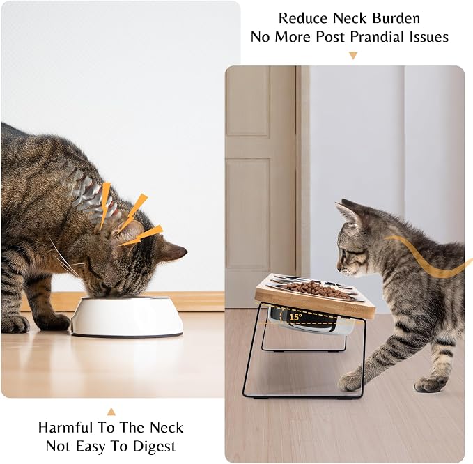 Elevated Cat Food Bowl Set for Indoor Cats, 3 Raised Water Bowl for Kitten | Whisker Friendly, Anti Vomit, Feeding Station for Puppy, Stainless Steel, Pet Dish, Easy Assembly, Bamboo, Dishwasher Safe - Image 2