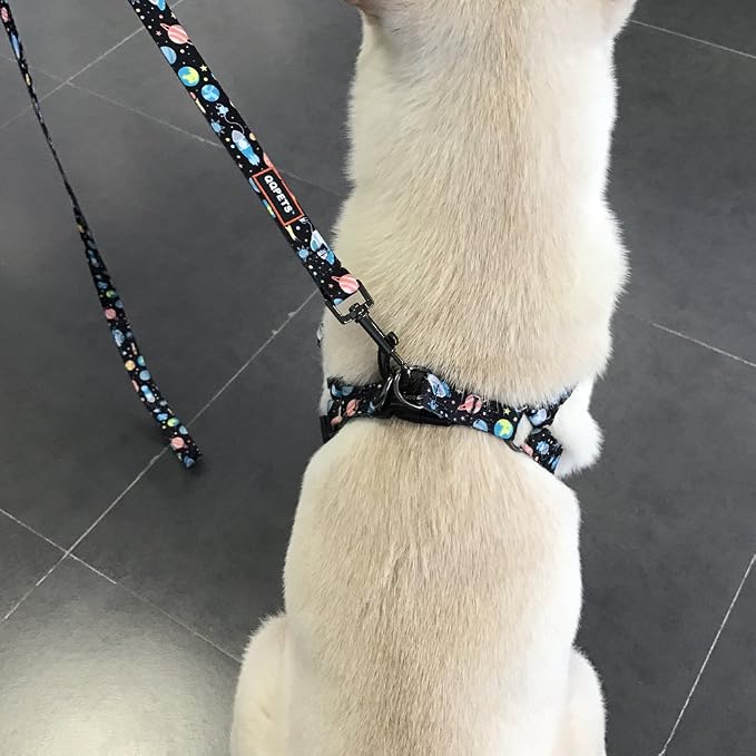 Dog Harness Leash Set Adjustable Heavy Duty No Pull Halter Harnesses for Small Medium Large Breed Dogs Back Clip Anti-Twist Perfect for Walking (S(14"-20" Chest Girth), Space) - Image 7