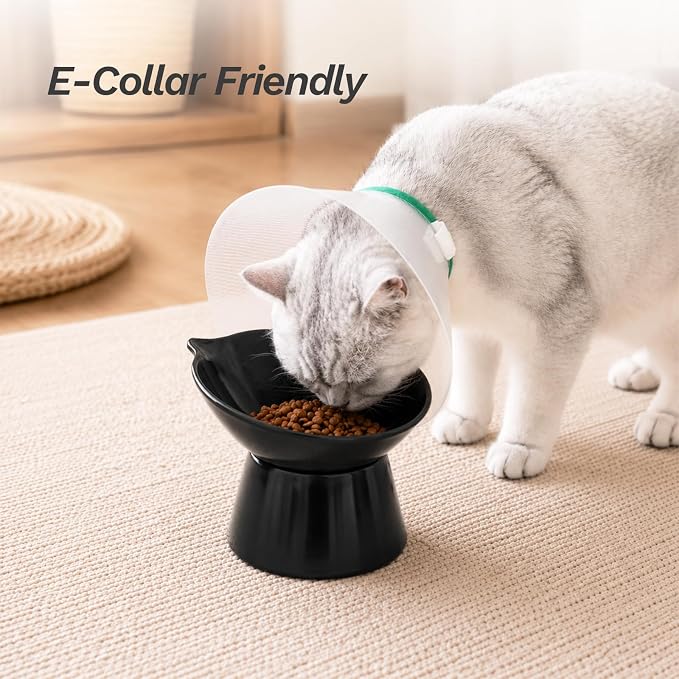 Raised Cat Bowls, 6.3" Extra Wide Shallow Elevated Cat Bowl Detachable, 15° Tilted Whisker Friendly Cat Feeding Bowl, 16oz Capacity, Anti-Vomiting, Neck Protection, Food&Water for Cats Puppies, Black - Image 8