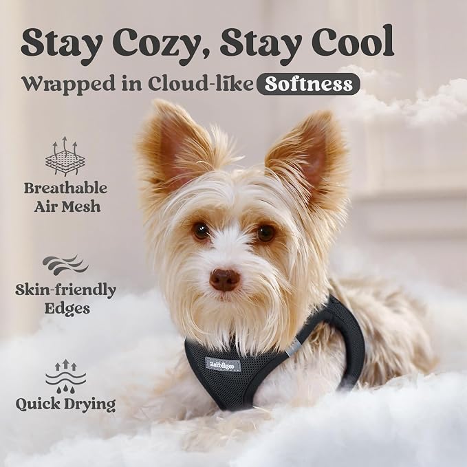 rabbitgoo Step-in Small Dog Harness, Puppy Vest for Small Medium Sized Pet | Easy Put on and off, Lightweight, Soft, Breathable Quick-Dry Air Mesh for Comfortable Secure Walking, Black L - Image 3