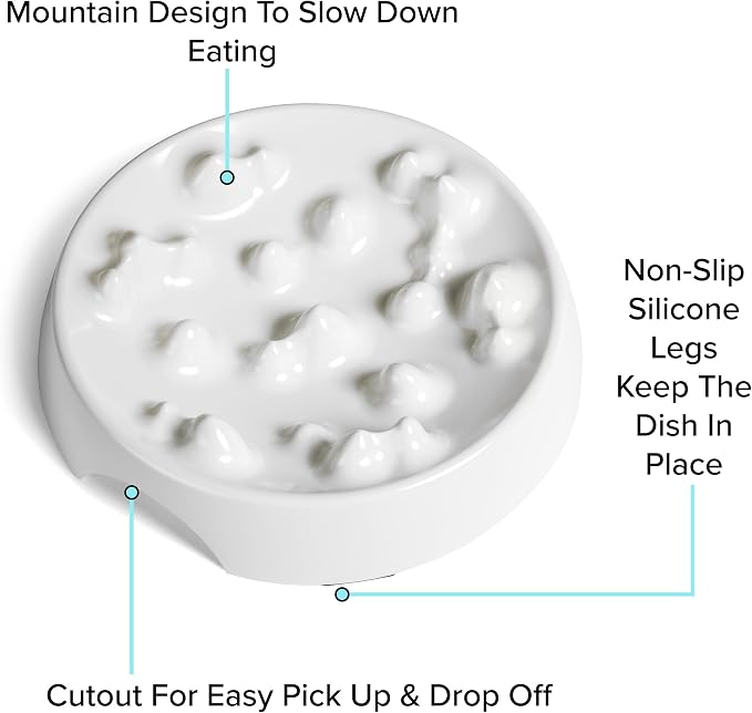 CatGuru Whisker-Friendly Slow Feeder Cat Bowl for Healthy Digestion | Perfect for kittens, adult, and senior cats. Encourages calm, healthy eating habits at every age. - Image 4