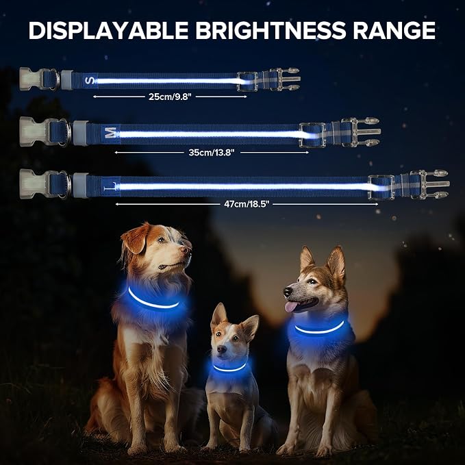 LED Dog Collar, Light Up Dog Collar USB-C Rechargeable Waterproof | 360° Visibility Light Up Dog Collar, Adjustable Nylon Collar with 3 Modes for Small Medium Large Dogs Night Walking Blue L - Image 5