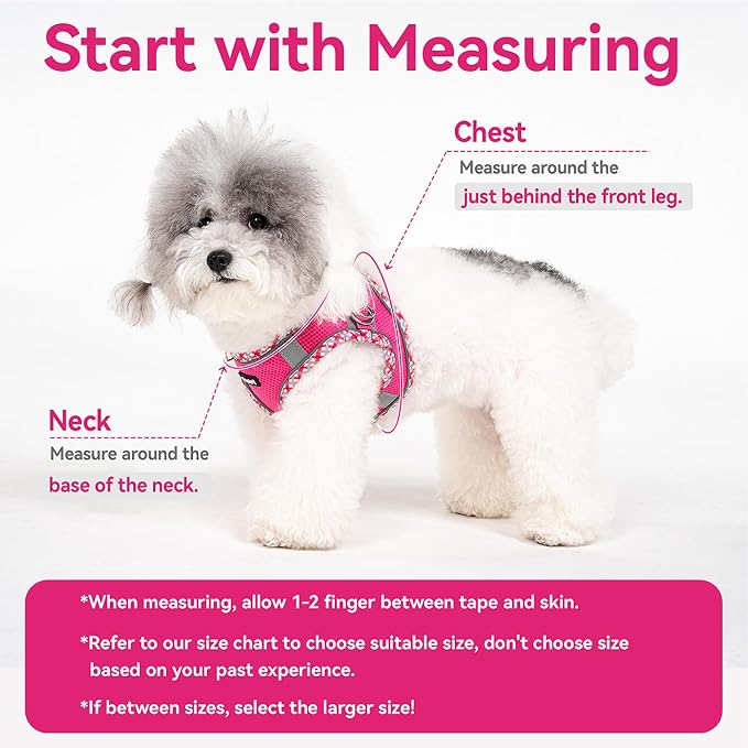 Petank Dog Harness for Small Medium Dogs No Pull, Puppy Harness and Leash Set, Step in Dog Harness for Walking, Running, Training, Small Dog Vest, Medium Dog Vest (Pink, M) - Image 7