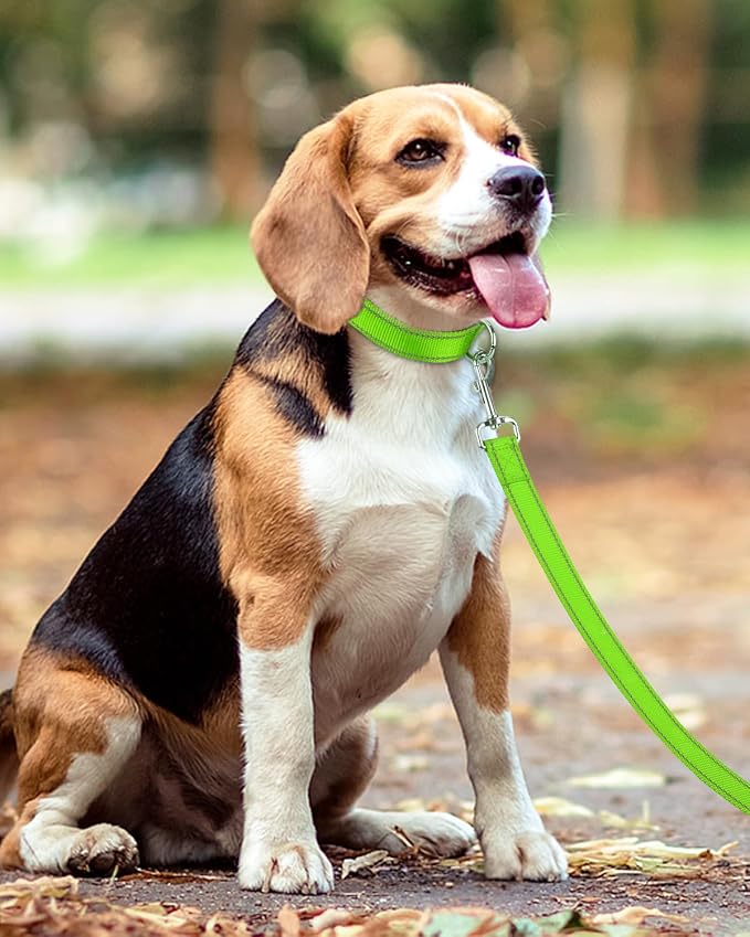 Taglory Reflective Dog Leash for Medium Large Dogs, 1in x 5ft, Neon Green | Ideal for Night Walking, Strong for Sudden Pulls, Lightweight & Gentle on the Neck, Soft Padded Handle - Image 6