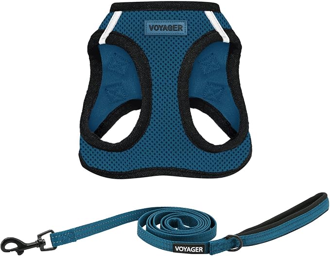Best Pet Supplies Voyager Step-in Air All Weather Mesh Harness and Reflective Dog 5ft Leash Combo with Neoprene Handle, for Small, Medium and Large Breed Puppies - Blue/Black Trim, X-Large by BestPetSuppliesLLC