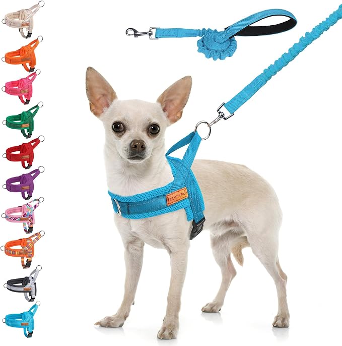 BEAUTYZOO Small Dog Harness and Leash Set, No Pull Step in Puppy Vest | Breathable Mesh with Handle, Reflective, Adjustable No Choke Escape Proof, Lightweight, Easy Control for Walking, Blue XS by BEAUTYZOO