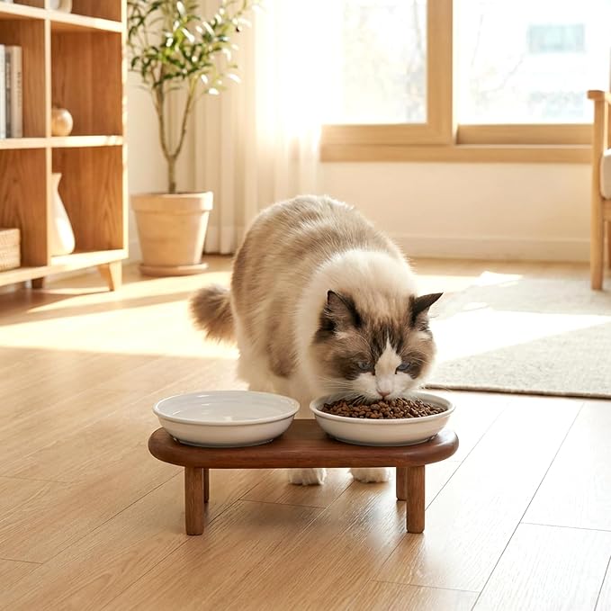 SPUNKYJUNKY Shallow Elevated Cat Bowl with Acacia Wood Stand Wide Raised Ceramic Cat Dishes Whisker Friendly Pet Food and Water Plates (Striped Pattern, White) - Image 6