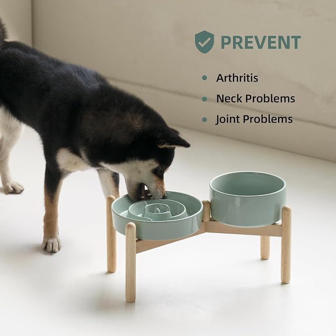 Havniva Elevated Slow Feeder Dog Bowls, Ceramic Dog Bowl Slow Feeder Set | 1.2 Cups Raised Slow Feeder Dog Bowl for Small Breed, 6.1” Dog Water Bowl with Wooden Stand, Puzzle Dog Food Bowl, Non-slip - Image 6
