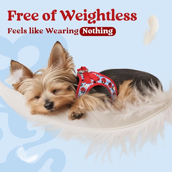 rabbitgoo Step-in Small Dog Harness, Puppy Vest for Small Sized Pet | Easy Put on and off, Lightweight, Soft, Breathable Quick-Dry Air Mesh for Comfortable Secure Walking, Apple Pups M - Image 4