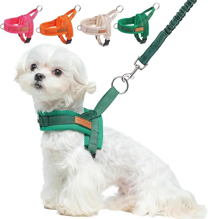 BEAUTYZOO Small Dog Harness and Leash Set, No Pull Step in Puppy Vest | Breathable Mesh with Handle, Reflective, Adjustable No Choke Escape Proof, Lightweight, Easy Control for Walking, Green S by BEAUTYZOO