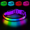 LED Dog Collar, Light Up Dog Collar,for Night Walking(Small,Purple) | Adjustable,Bright RGB 7 Colors Light Glowing Collar,Waterproof,Nylon,Soft,For Small and Medium Dogs,USB C to Charge by PWOD